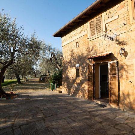 Casetta Maduneta Immersa In Un Oliveto Dolceacqua Εξωτερικό φωτογραφία
