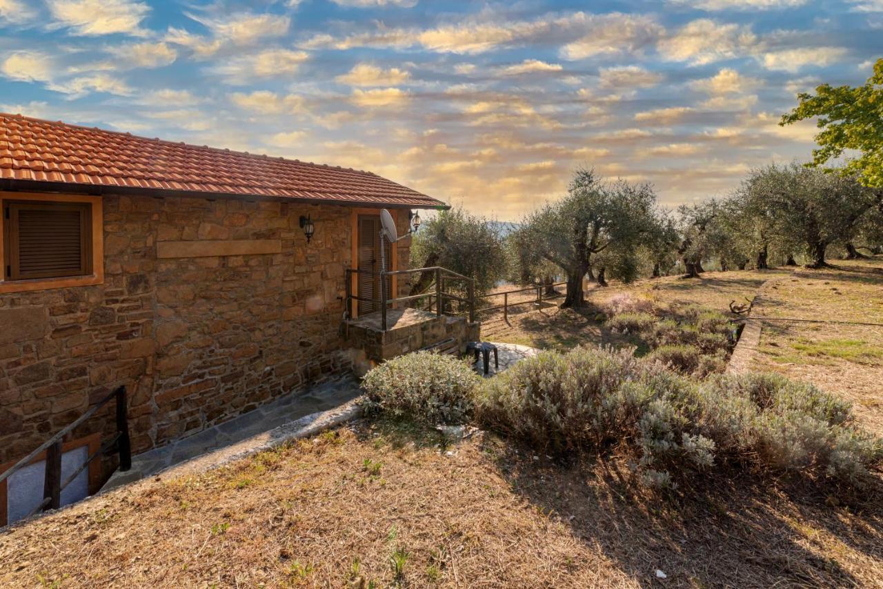 Casetta Maduneta Immersa In Un Oliveto Dolceacqua Εξωτερικό φωτογραφία