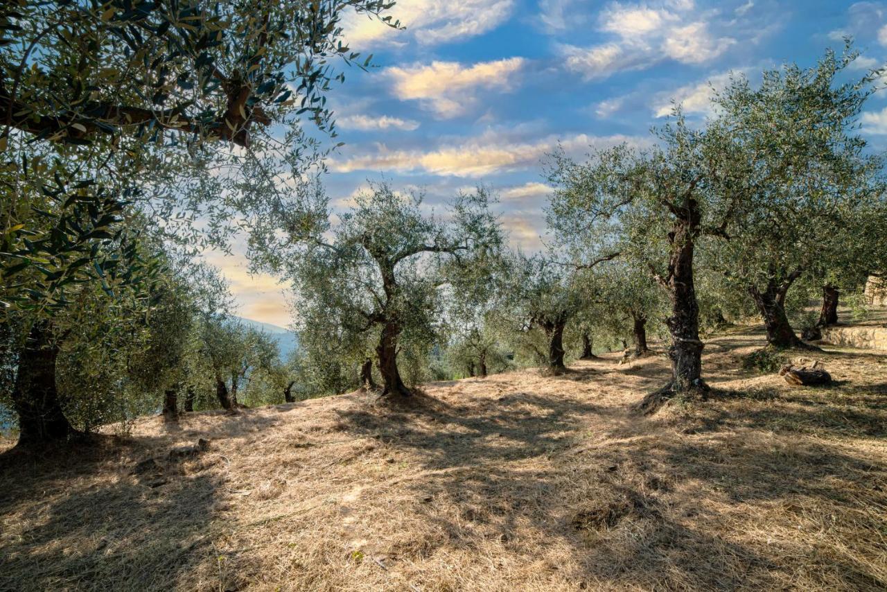 Casetta Maduneta Immersa In Un Oliveto Dolceacqua Εξωτερικό φωτογραφία