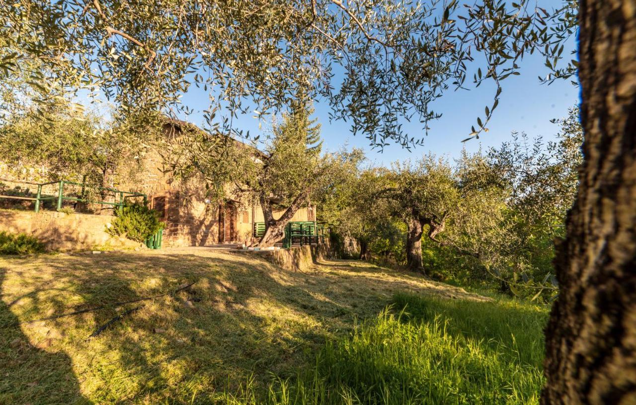 Casetta Maduneta Immersa In Un Oliveto Dolceacqua Εξωτερικό φωτογραφία